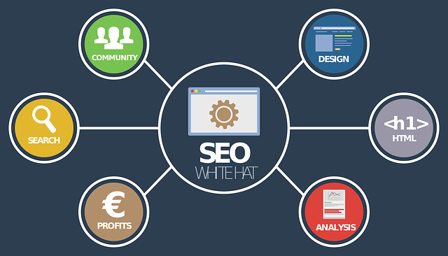 Roanoke white hat seo services